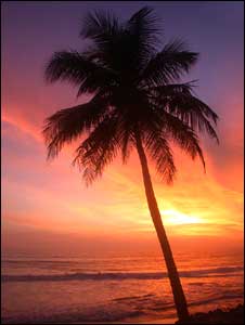 Experience the exotic sunsets in Cancun